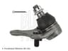 Vista 8