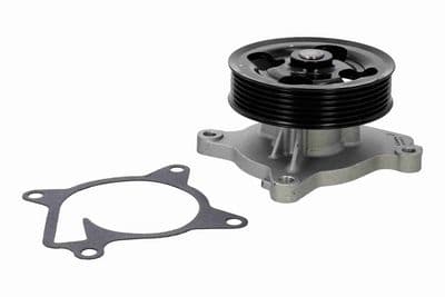 Bomba de agua, refrigeración del motor ACKOJA A38-50015