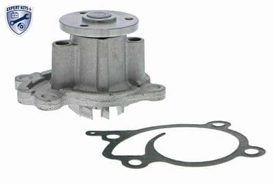 Bomba de agua, refrigeración del motor ACKOJA A38-50009