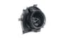 Vista 53