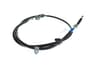 Vista 19