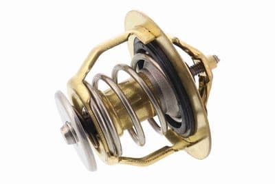 Termostato, refrigerante ACKOJA A37-99-0010