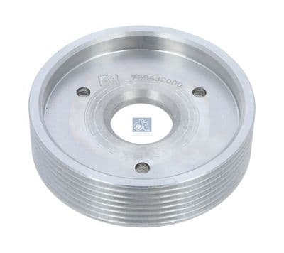 Polea, Servobomba DT Spare Parts 6.30059