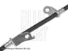 Vista 6