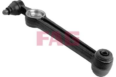 Brazo oscilante, suspensión de ruedas Schaeffler FAG 821 0056 10