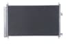 Vista 6