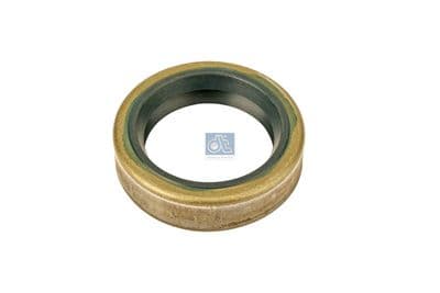 Junta tórica, muñón eje DT Spare Parts 5.10145