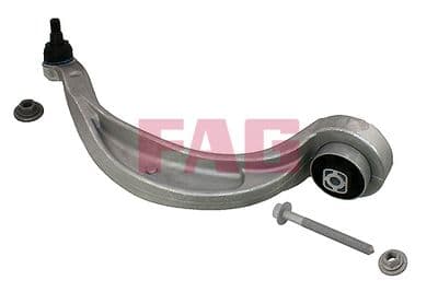 Brazo oscilante, suspensión de ruedas Schaeffler FAG 821 1012 10
