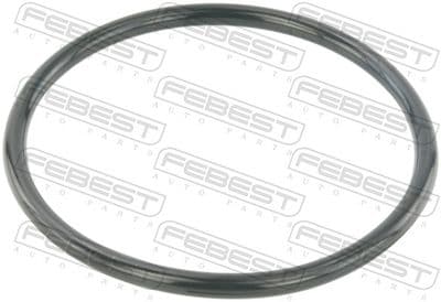 Empaque, Cuerpo de mariposa FEBEST RINGAH-034