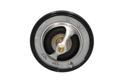 Termostato, refrigerante Kavo Parts TH-1506