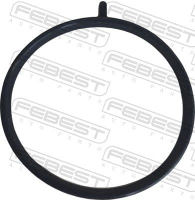 Empaque, Cuerpo de mariposa FEBEST 18400-001