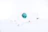 Vista 26