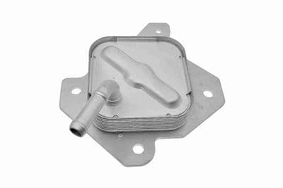 Radiador de aceite, aceite de motor ACKOJA A70-60-0035