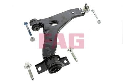Brazo oscilante, suspensión de ruedas Schaeffler FAG 821 0250 10