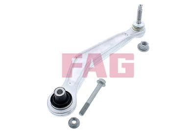 Brazo oscilante, suspensión de ruedas Schaeffler FAG 821 0161 10