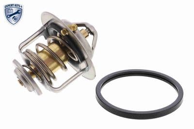 Termostato, refrigerante ACKOJA A38-99-0002
