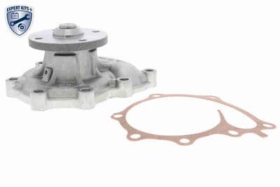 Bomba de agua, refrigeración del motor ACKOJA A53-0702