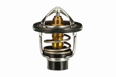 Termostato, refrigerante ACKOJA A70-99-0028