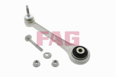 Brazo oscilante, suspensión de ruedas Schaeffler FAG 821 0169 10