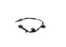 Vista 13