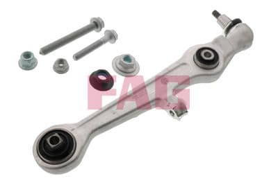 Brazo oscilante, suspensión de ruedas Schaeffler FAG 821 0691 10