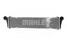 Vista 24