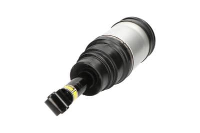 Amortiguador de telescópico neumático Kavo Parts SAS-10020