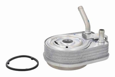 Radiador de aceite, aceite de motor ACKOJA A52-60-0017