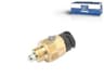Vista 1