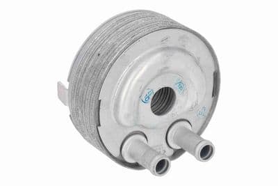 Radiador de aceite, aceite de motor ACKOJA A38-60-0006