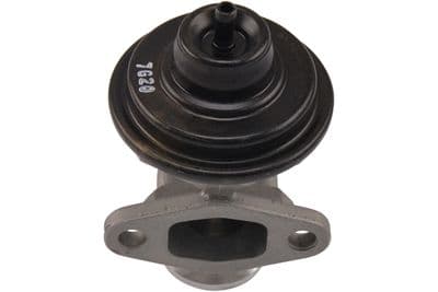 Válvula EGR Kavo Parts EEG-1017