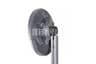 Vista 33