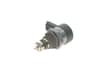 Vista 24