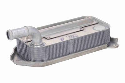 Radiador de aceite, aceite de motor ACKOJA A70-60-0034