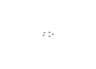 Vista 11