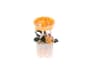 Vista 22