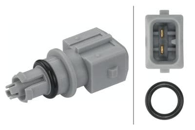 Sensor, temperatura del aire de admisión HELLA 6PT 009 109-271