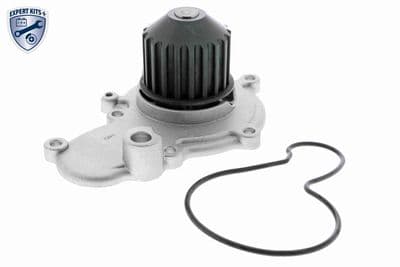 Bomba de agua, refrigeración del motor ACKOJA A37-50001