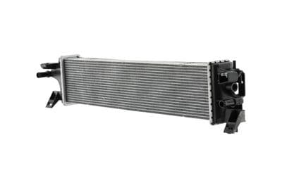 Radiador, refrigeración del motor HELLA 8MK 366 307-161