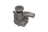 Vista 6