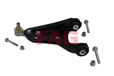 Brazo oscilante, suspensión de ruedas Schaeffler FAG 821 1094 10