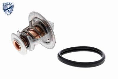 Termostato, refrigerante ACKOJA A70-99-0031