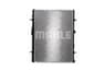 Vista 21