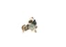 Vista 14