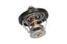 Vista 16