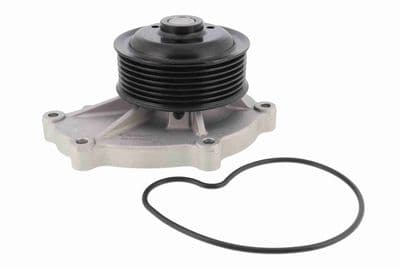 Bomba de agua, refrigeración del motor ACKOJA A63-0700