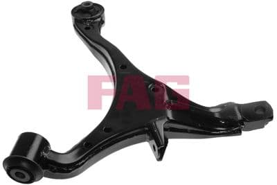 Brazo oscilante, suspensión de ruedas Schaeffler FAG 821 0755 10