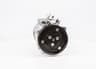 Vista 19