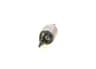 Vista 17