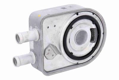 Radiador de aceite, aceite de motor ACKOJA A52-60-0020